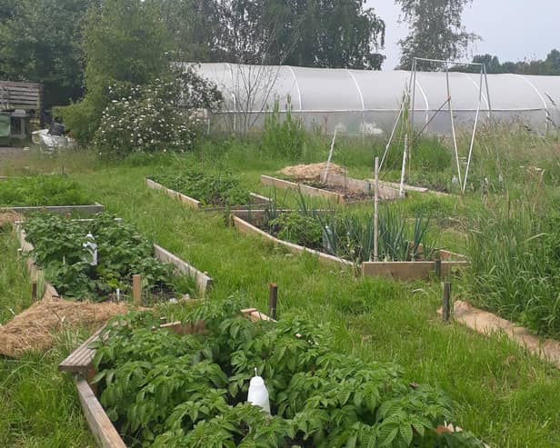 The community garden site off Old Gallamore Lane. Image: Yvonne Horrocks