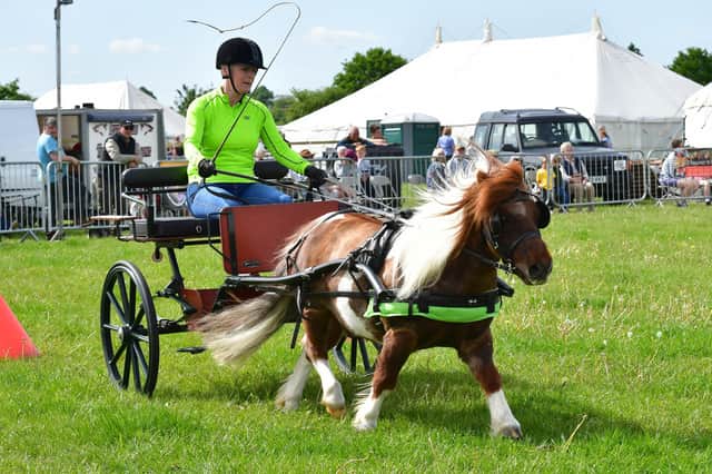 Carriage Driving at Woodhall Spa Country Show.