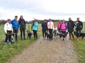 Gemma's canicross group.