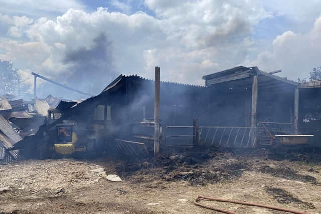 The farm was a scene of devastation following the fire on Saturday.