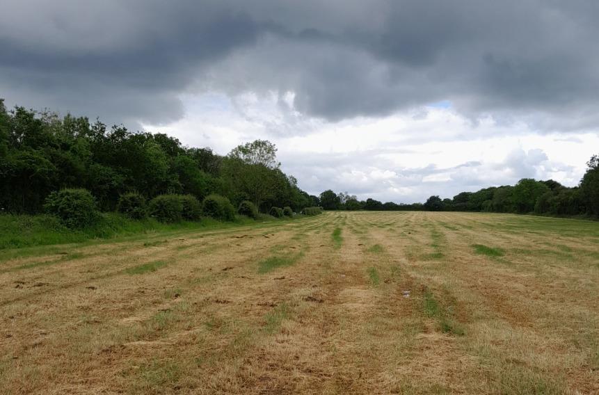 The application site facing south-west. Photo: ELDC