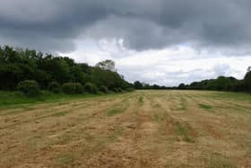 The application site facing south-west. Photo: ELDC