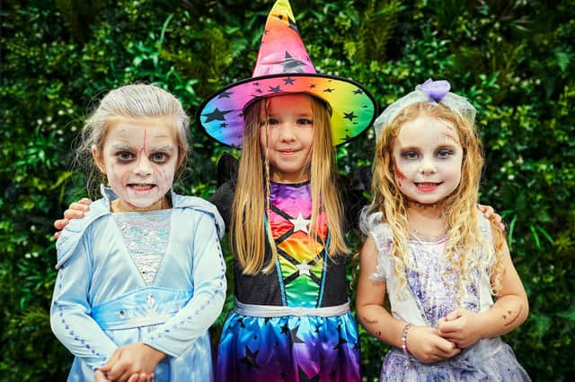 Dobbies, in Wainfleet Road, Boston, is counting down to Halloween.