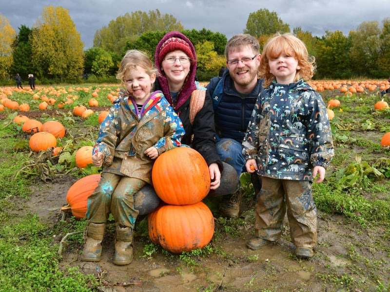 More visitors to Bell's Pumpkin Patch.