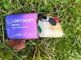 A disposable vape found by MP Dr Caroline Johnson on the banks of the River Slea when she joined in a litter pick.