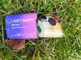 A disposable vape found by MP Dr Caroline Johnson on the banks of the River Slea when she joined in a litter pick.