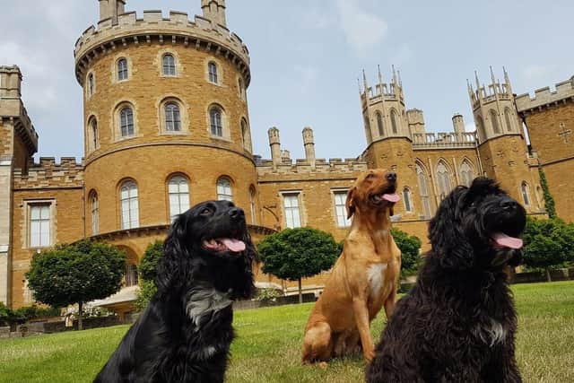 Hundreds to gather at Belvoir Castle for Great British Dog Walk in aid of Hearing Dogs