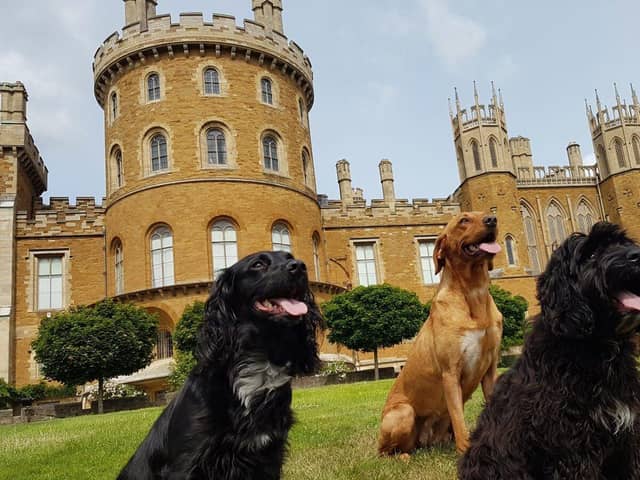 Hundreds to gather at Belvoir Castle for Great British Dog Walk in aid of Hearing Dogs