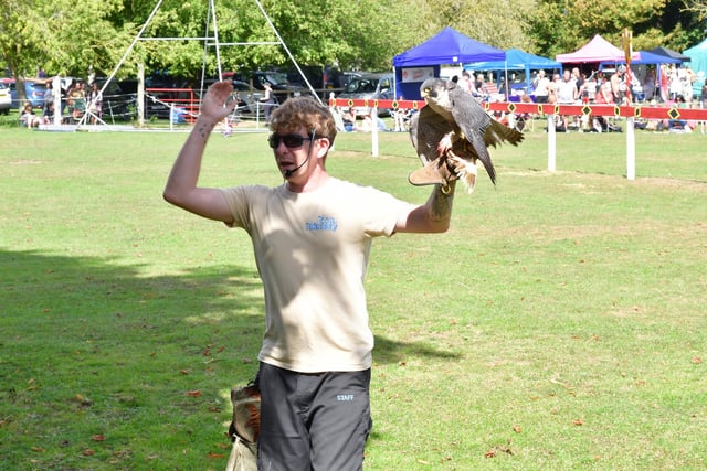 A display by Mike Willis of Fens Falconry
