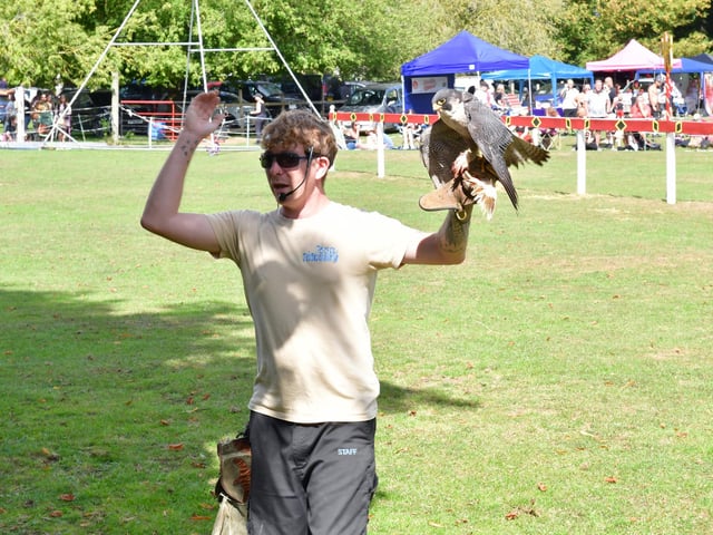 A display by Mike Willis of Fens Falconry