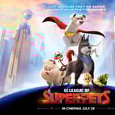 The family film is a superhero film with a difference in that it focuses on the pets of well-known DC crime-fighters.