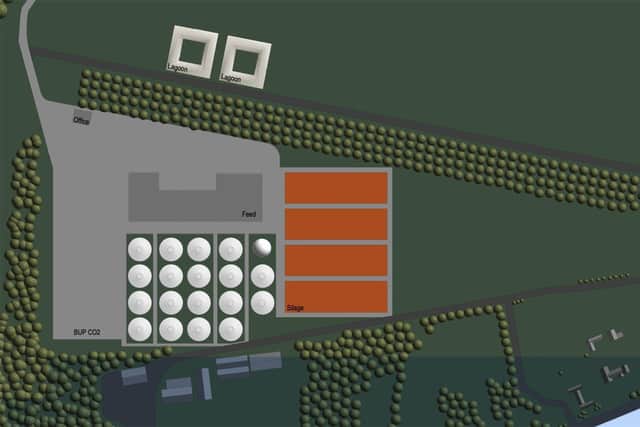 Layout of the propsed plant.