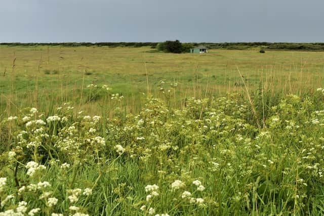 Sandilands will become a haven for nature on Lincolnshire's wild coast. Copyright: National Trust, Su Davey