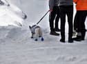 A reader felt elated after walking to an appointment in the snow instead of driving.