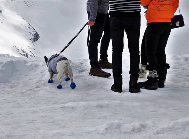 A reader felt elated after walking to an appointment in the snow instead of driving.