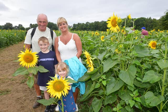Adele and Ted Lamming of Horncastle, with Ellie Burn, three, and Jacob Burn, nine. Photos: David Dawson