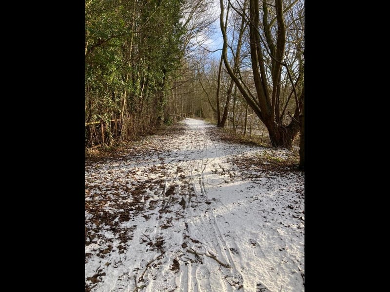 A wintry woodland scene at Anton's Gowt, courtesy of Sharon Meeds.