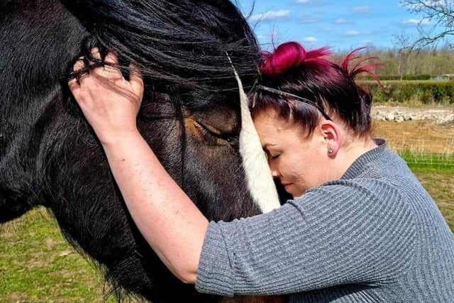 Bomber has a cuddle with Eve.