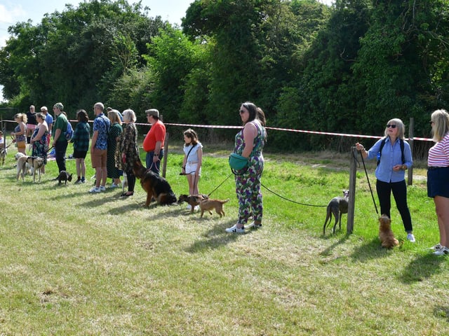 Dog show