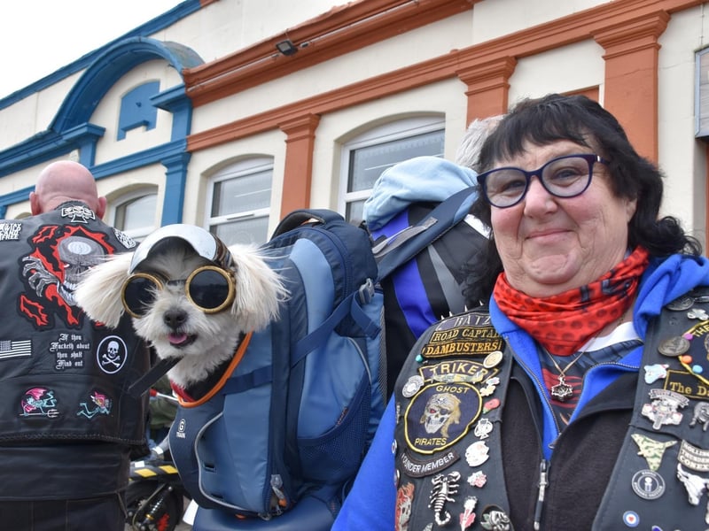 Have Easter egg - will ride! This dog had a cracking time.with the riders.