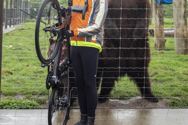 Simon Eyley at Wold Wildlife Park with Maxi the European brown bear. Photo: Holly Parkinson Photography