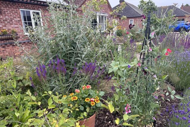 Matt Lee's winning front garden.
