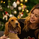 The Dog House bringing more festive cheer (and tears!) this December