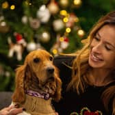 The Dog House bringing more festive cheer (and tears!) this December