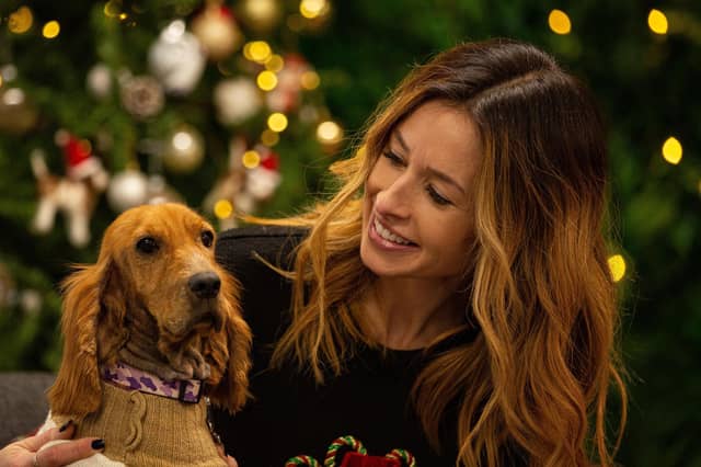 The Dog House bringing more festive cheer (and tears!) this December