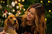 The Dog House bringing more festive cheer (and tears!) this December