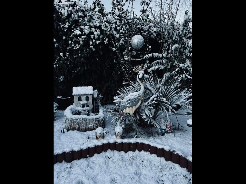 Elvyra took this photo of her garden in Boston at 8am today.