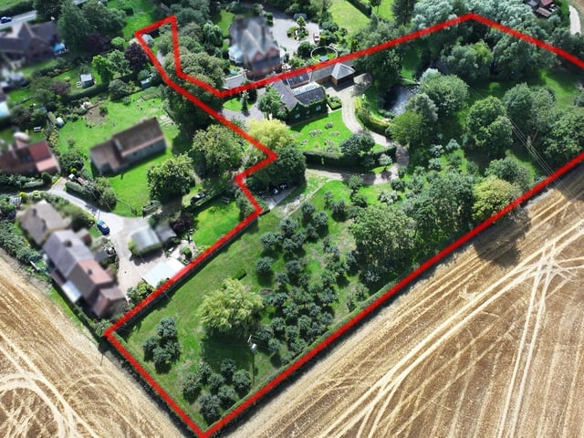 The boundary of the plot.