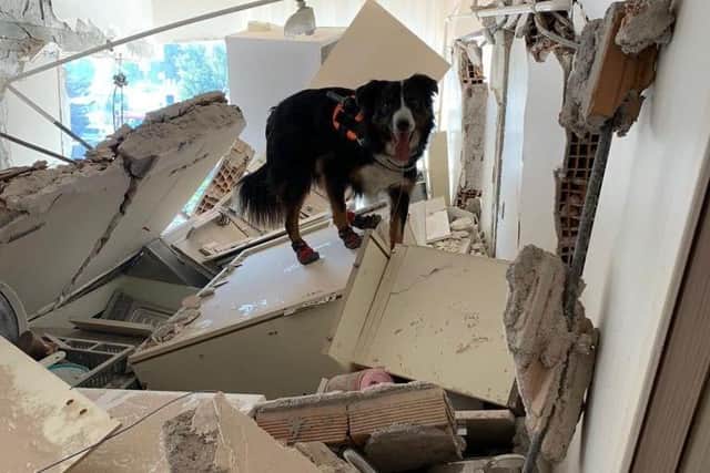 Colin tirelessly searching a collapsed building.