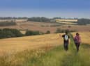 The Lincolnshire Wolds Outdoor Festival will be returning for a second time from May 20 until June 11