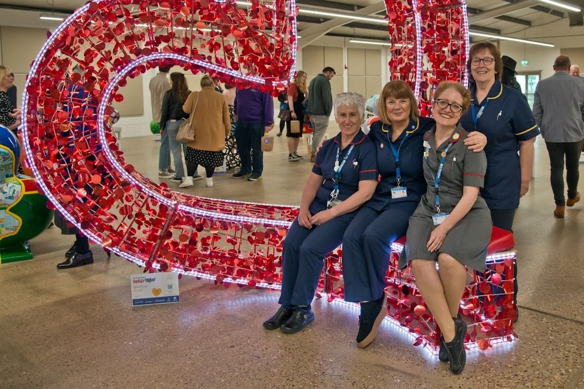 HeART Trail for Lincolnshire's St Barnabas Hospice is coming to Gainsborough - Vimarsana News