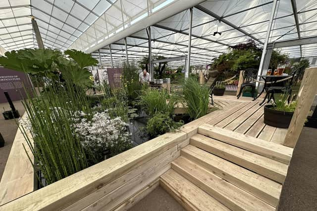 Lincolnshire Pond Plants's Chelsea Flower Show Gold Medal-winning pond display.