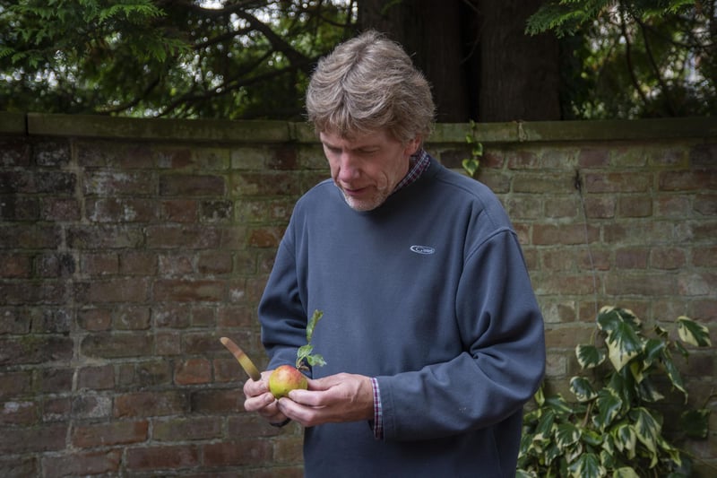 Martin Skipper identifying apples.
