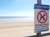 East Lindsey District Council is set to extend its dog ban on Lincolnshire beaches.