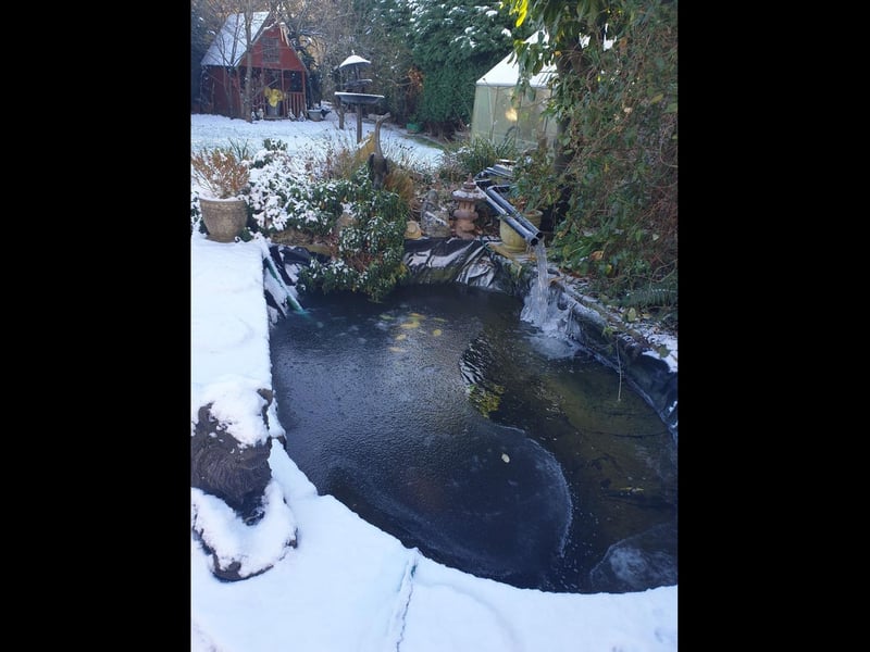 A partially frozen pond in Frampton, as photographed by Chelly Remarca Espina Dinning.
