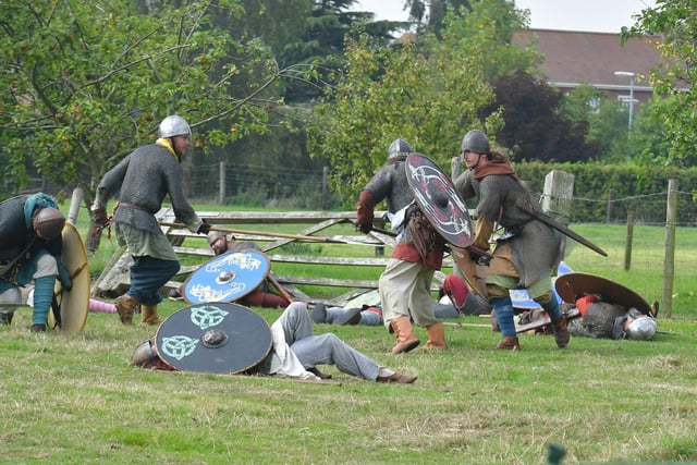 Viking battle