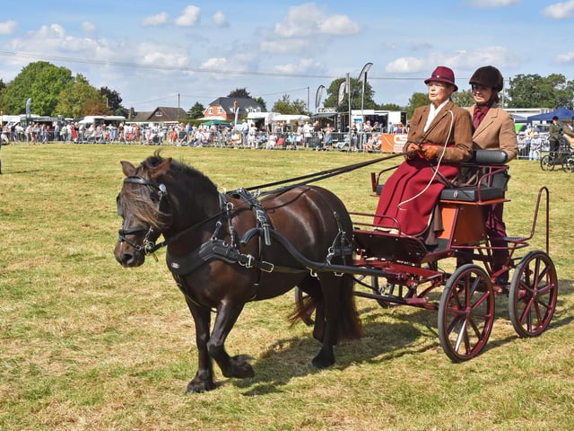 Carriage Driving is always a popular event