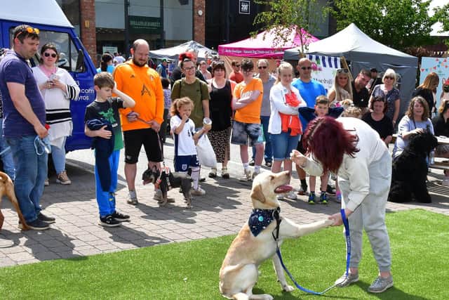 Marshall’s Yard is set to welcome the return of its much‑loved Barket Dog Market