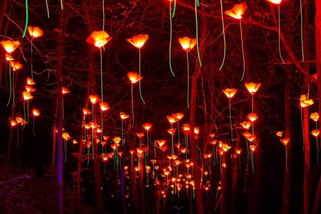 Floraison, by French artist Pitaya, is a jaw-dropping highlight - a carpet of floating poppies,