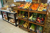 A new study has found men who enjoy a plant rich diet can substantially slow the rate of established prostate cancer.