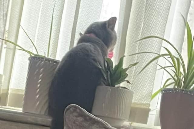 When Freddie is not at home watch birds he's at Tesco.
