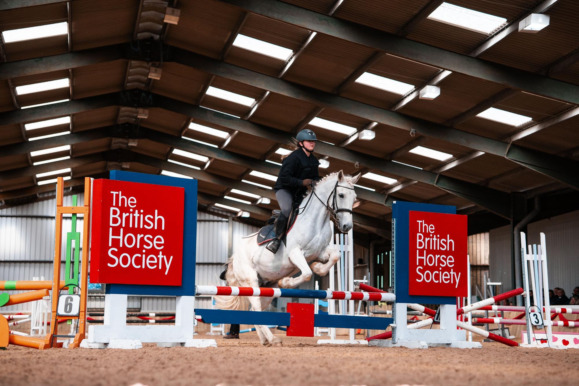 Lincolnshire's Four Winds Equestrian Centre celebrate national success ...