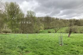 One of the 15 new community orchards created in South and East Lincolnshire