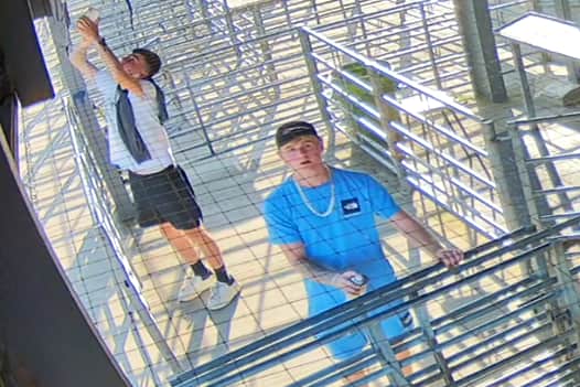 Police are hoping to trace these two males in relation to graffiti damage at Louth cattle market.