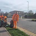 Skegness Town Council cuts  500,000 metres of green space.