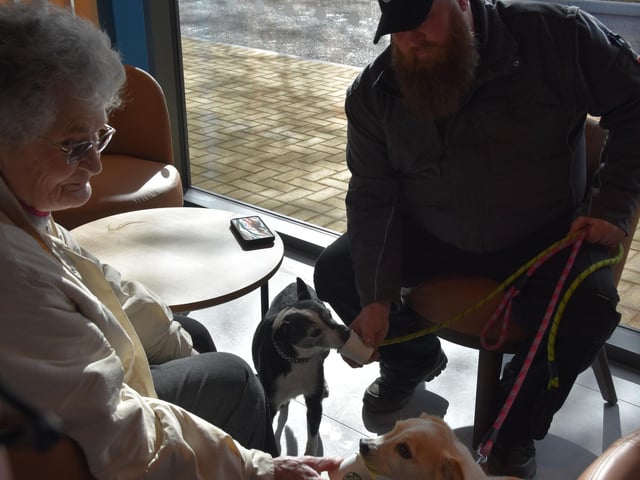 Dogs lapped up their puppachinos.